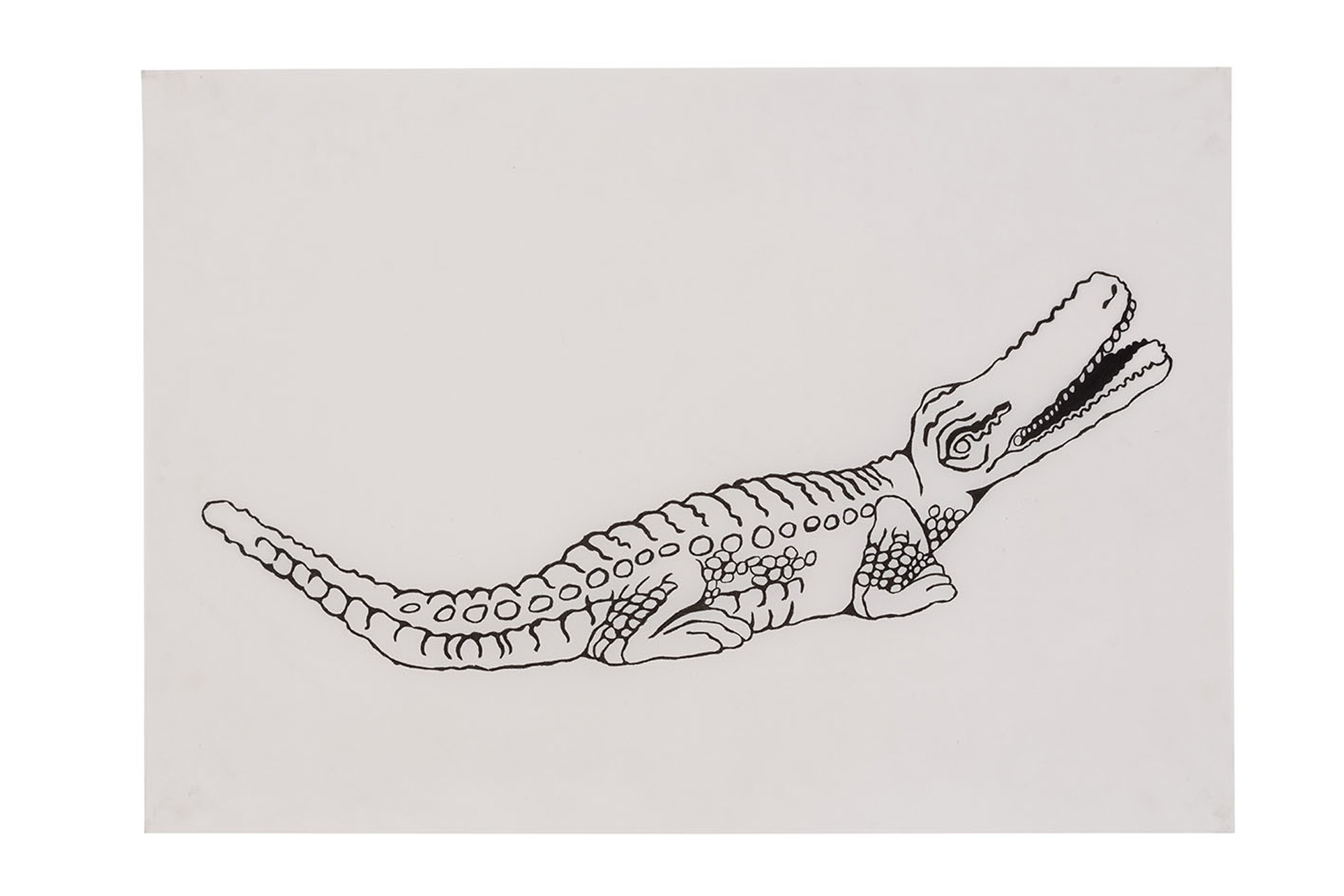 Selva Doméstica (Animais)