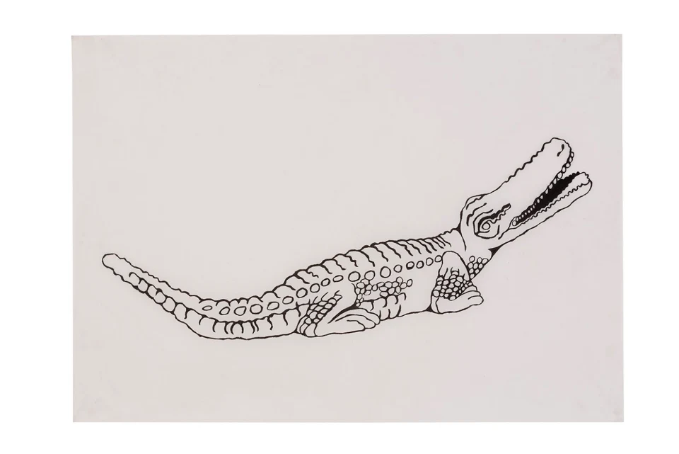 Selva Doméstica (Animais)
