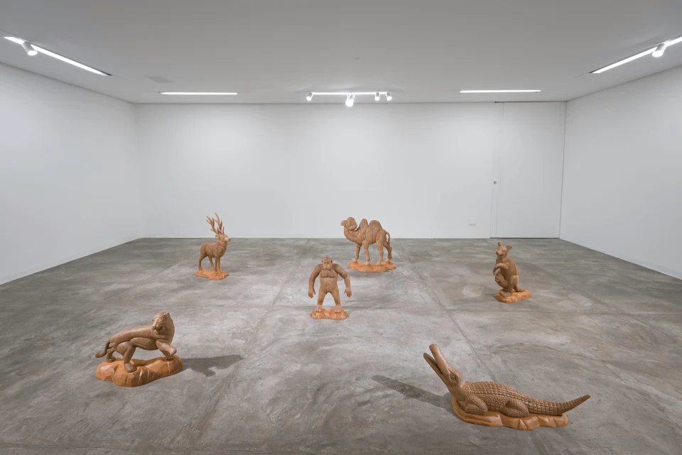 Animais Lentos